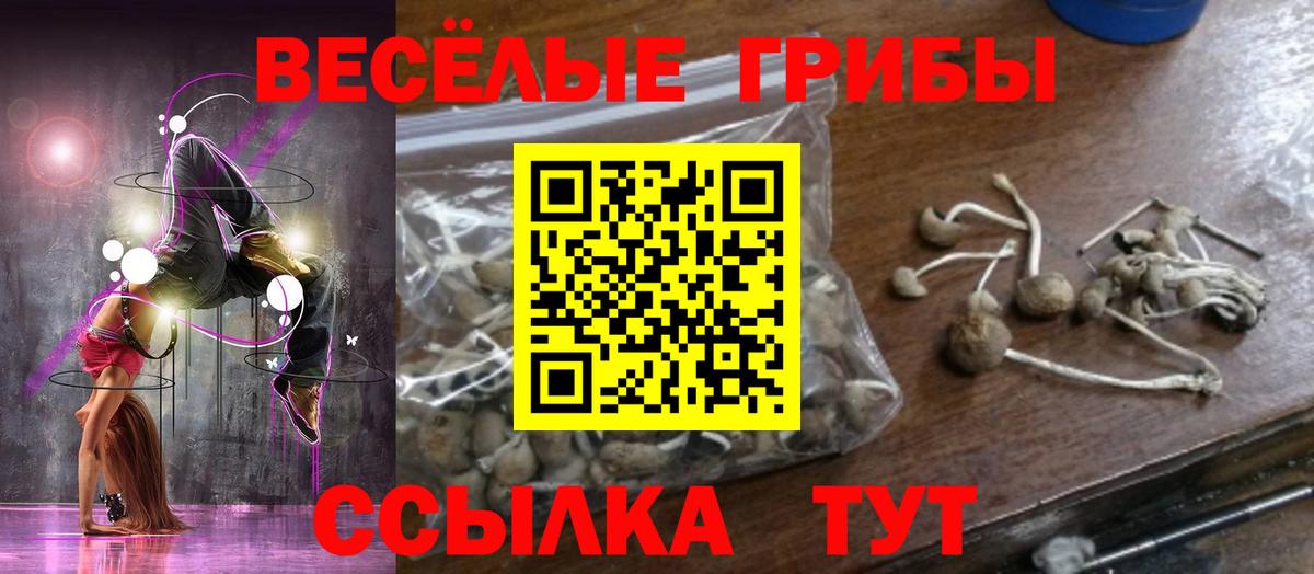 Ессентуки  Галлюциногенные грибы прущие грибы  Вход с VPN  Галлюциногенные грибы мухоморы 
