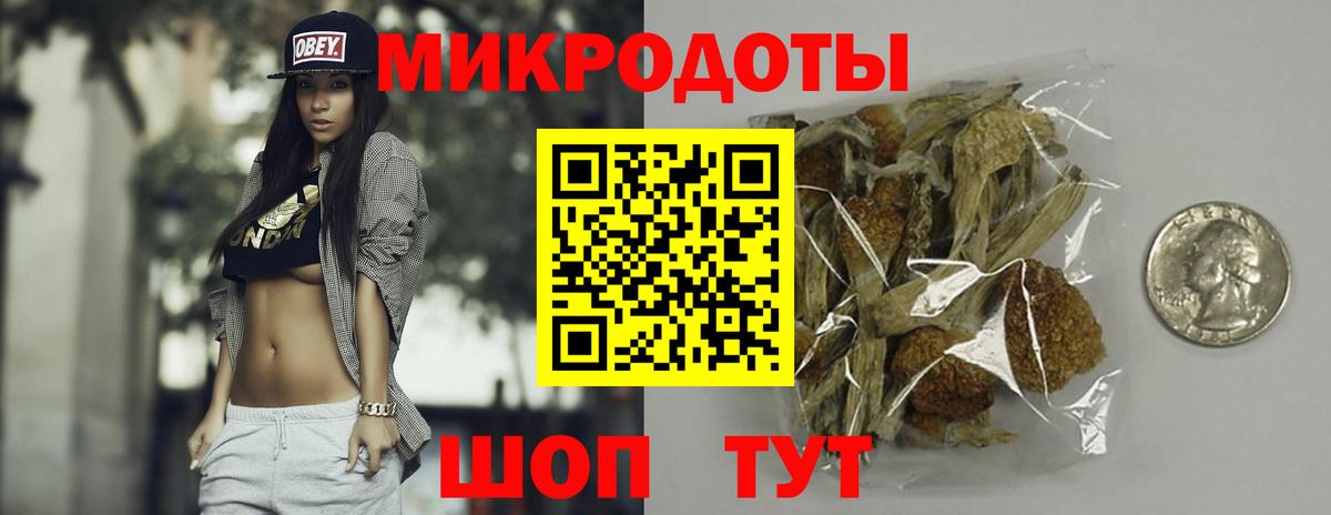 Галлюциногенные грибы Cubensis Ессентуки